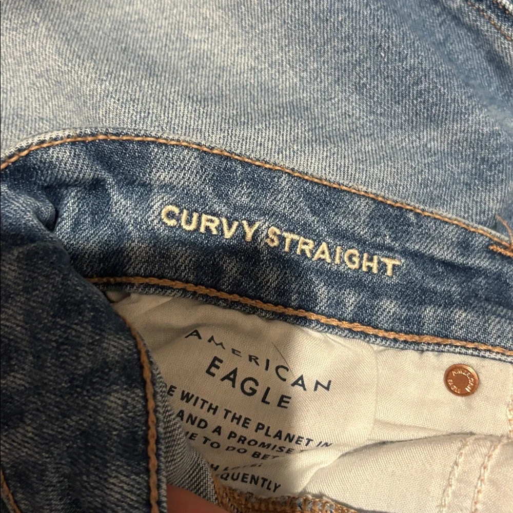 American Eagle Curvy Straight Leg Jean - Picture 5 of 6